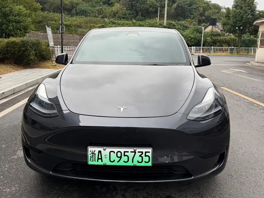 Tesla Model Y — миниатюра 2