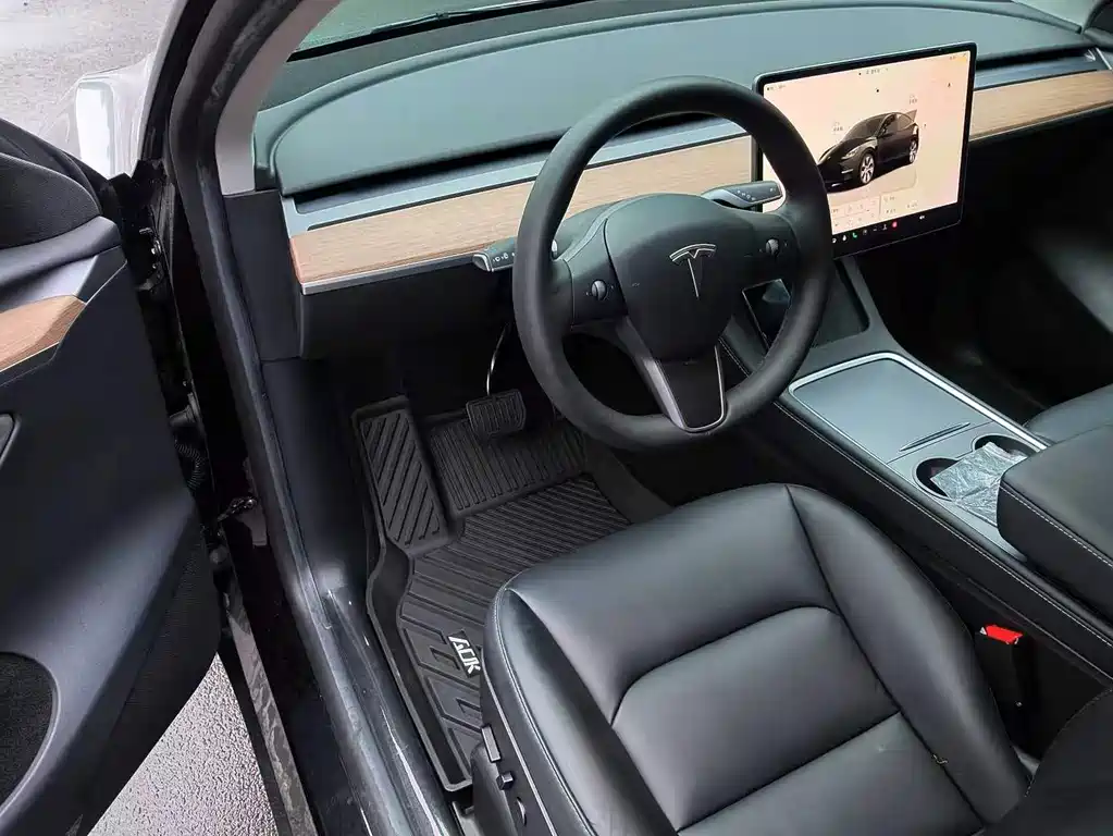 Tesla Model Y — миниатюра 4