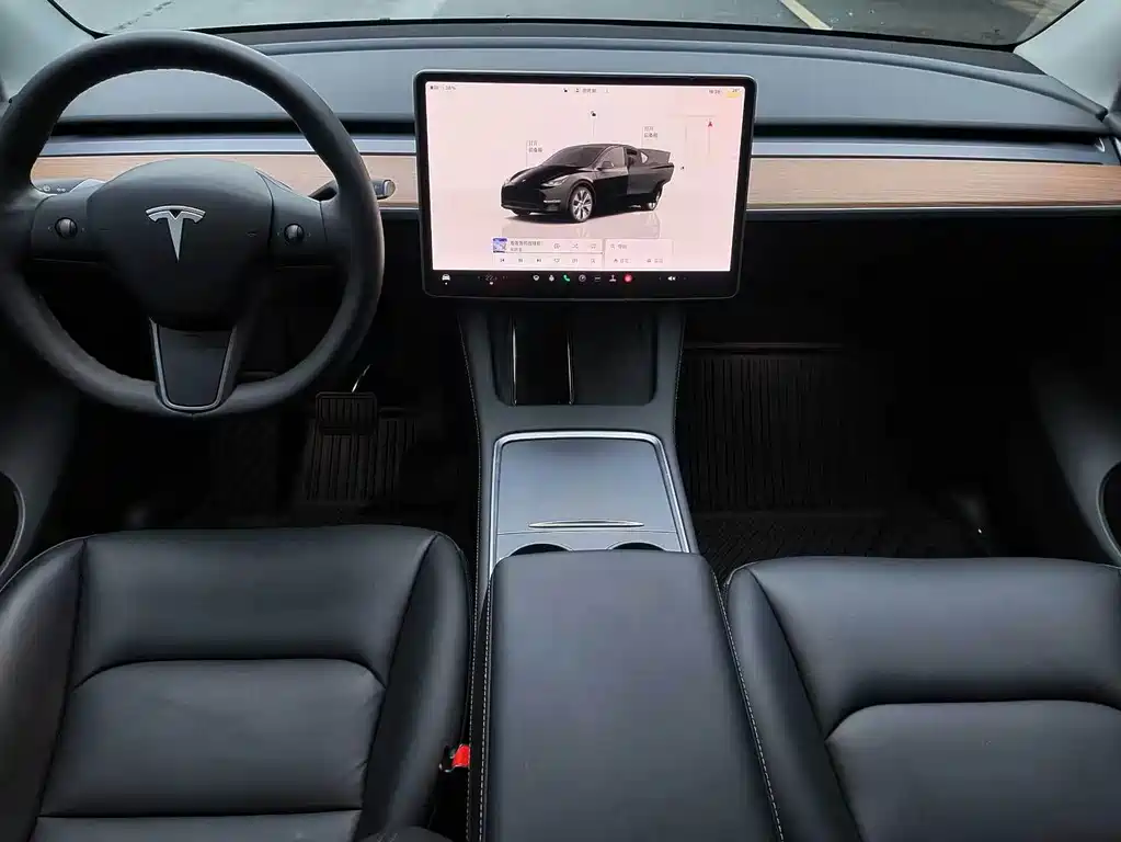 Tesla Model Y — миниатюра 5
