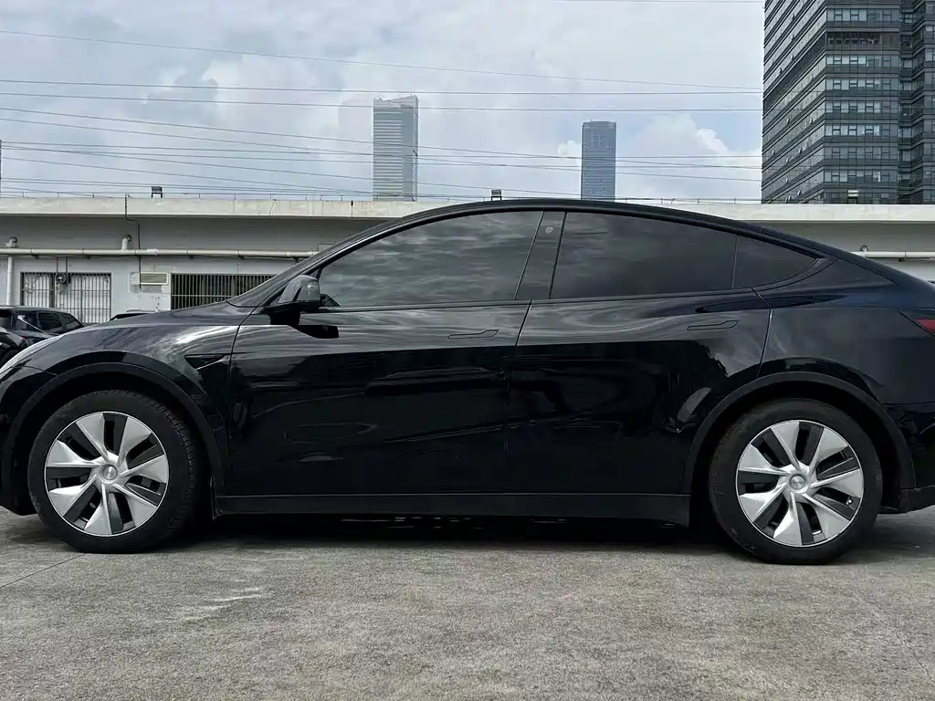 Tesla Model Y — миниатюра 11