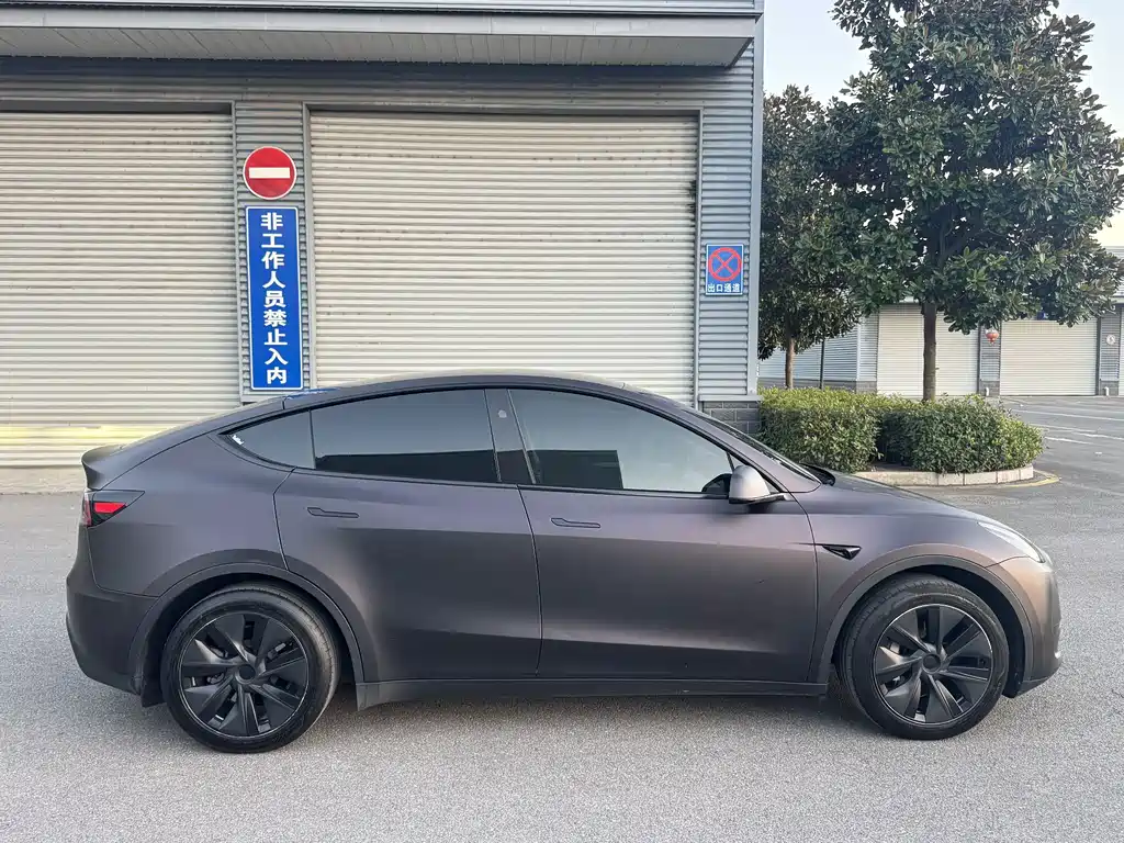 Tesla Model Y — миниатюра 7