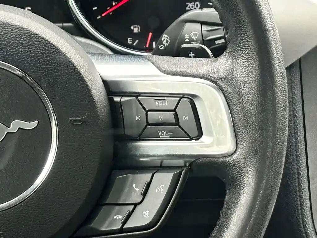 Ford Mustang — миниатюра 16