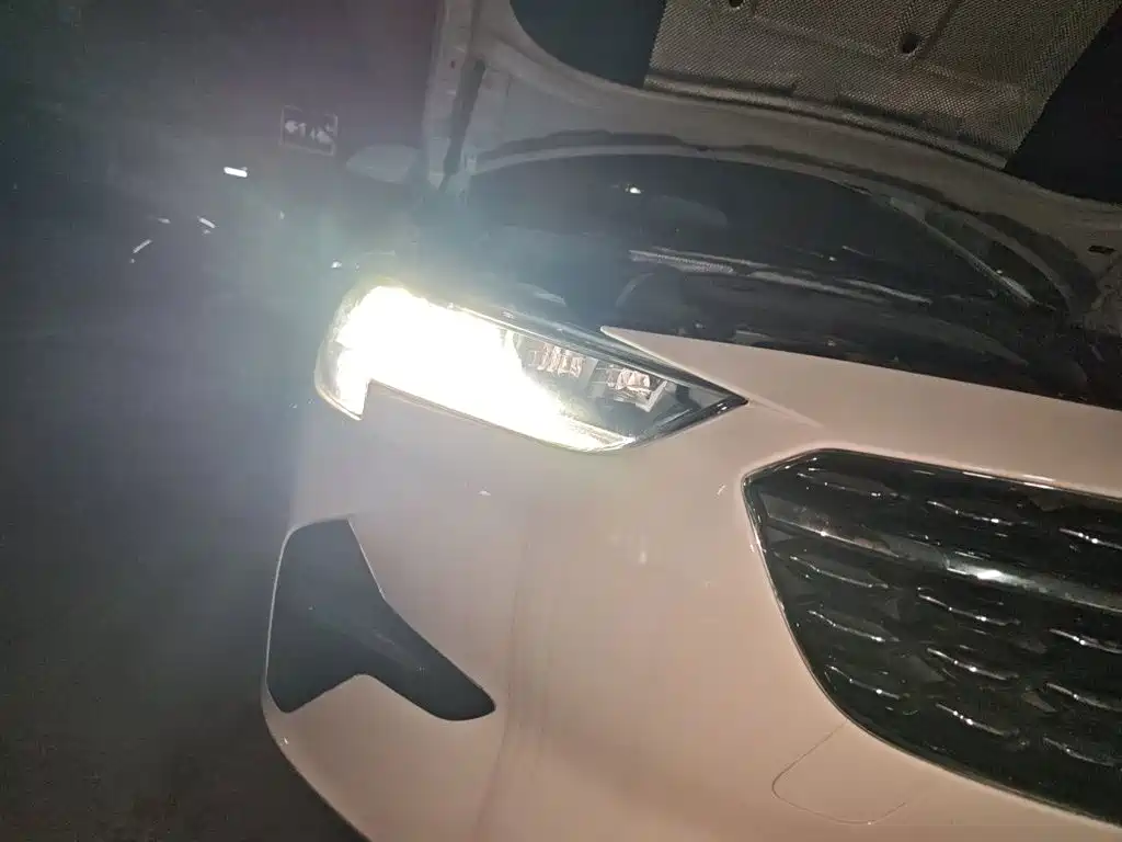 Buick Regal — миниатюра 7