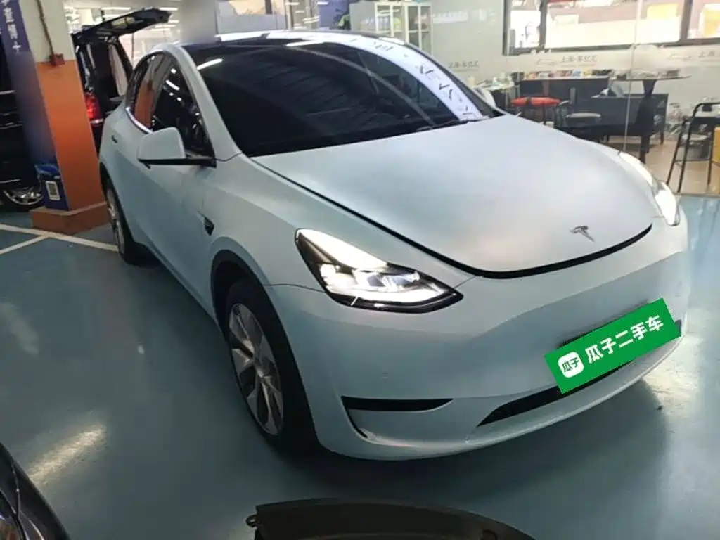 Tesla Model Y — миниатюра 4