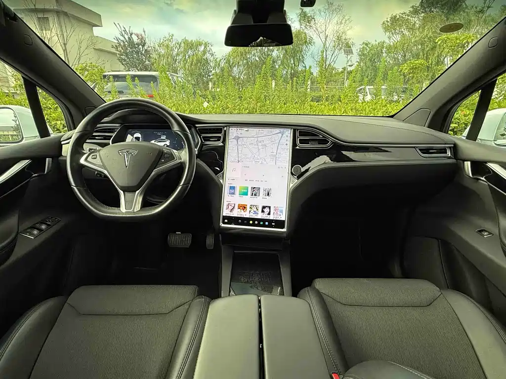 Tesla Model X — миниатюра 17
