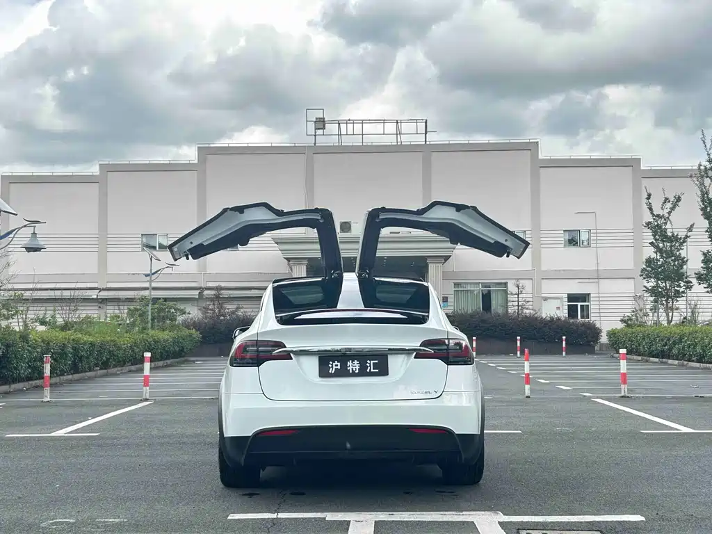 Tesla Model X — миниатюра 4