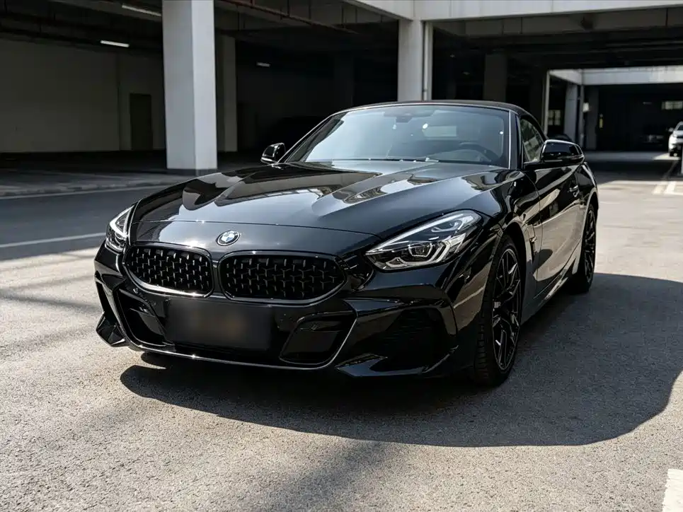 BMW Z4 — миниатюра 2