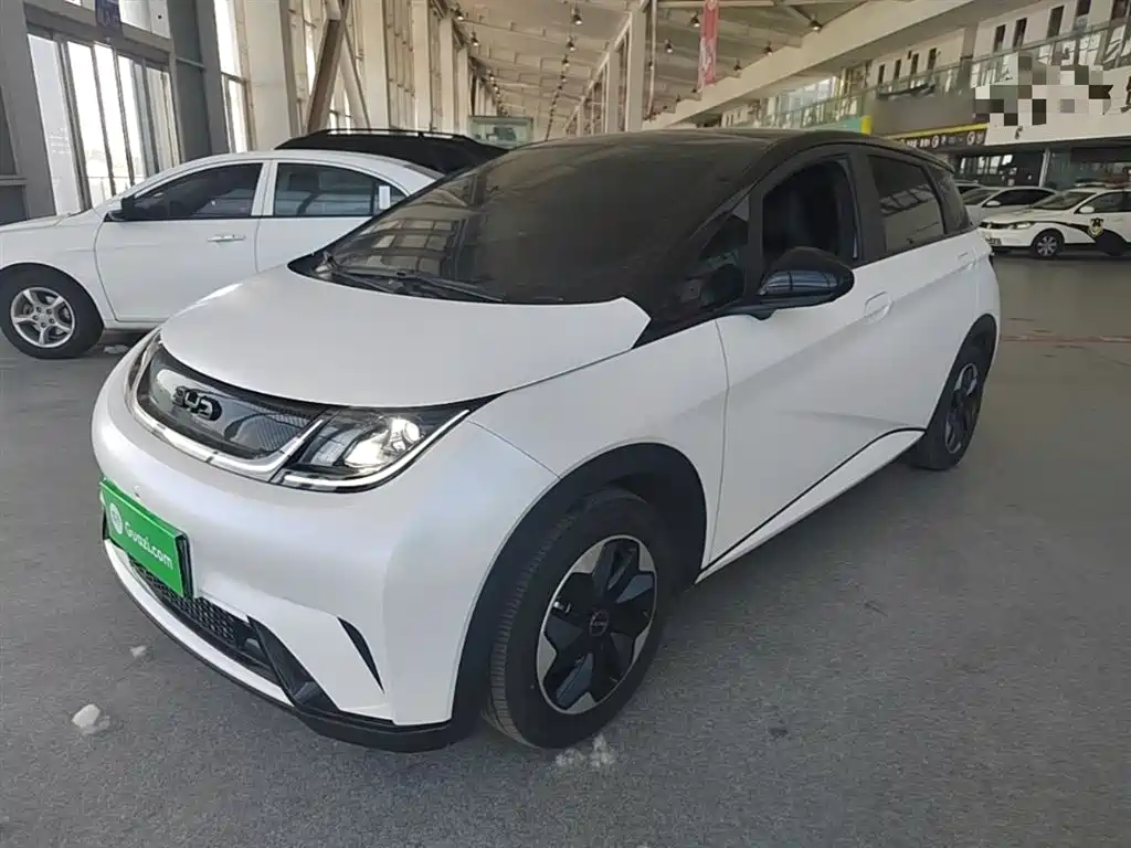 Byd Dolphin 2024