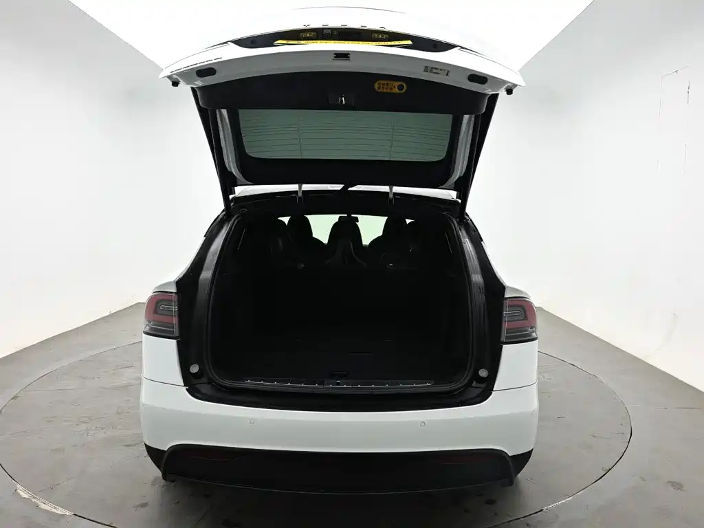 Tesla Model X — миниатюра 8