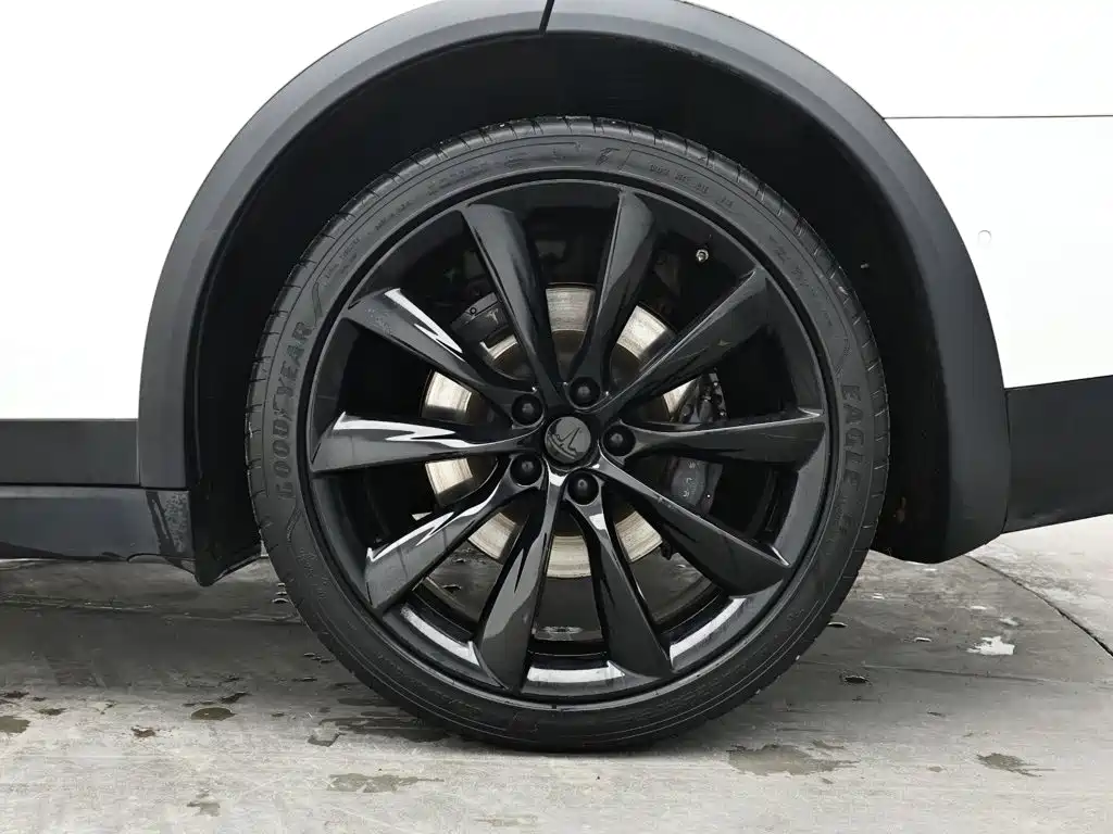 Tesla Model X — миниатюра 9