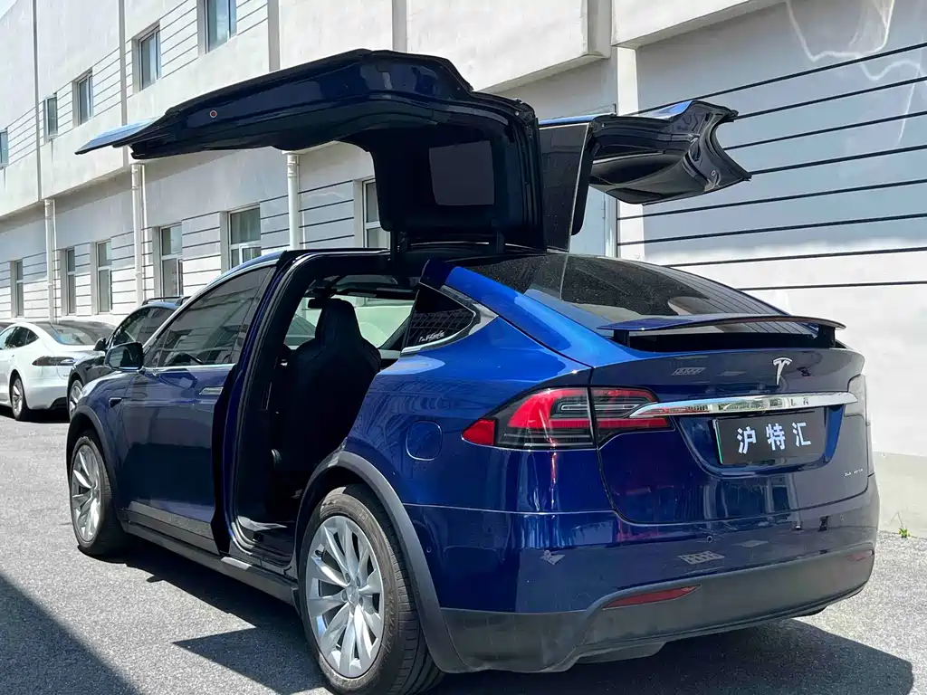 Tesla Model X — миниатюра 5