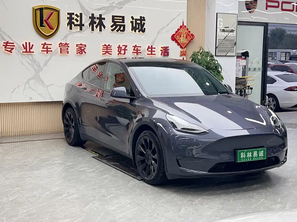 Tesla Model Y — миниатюра 3