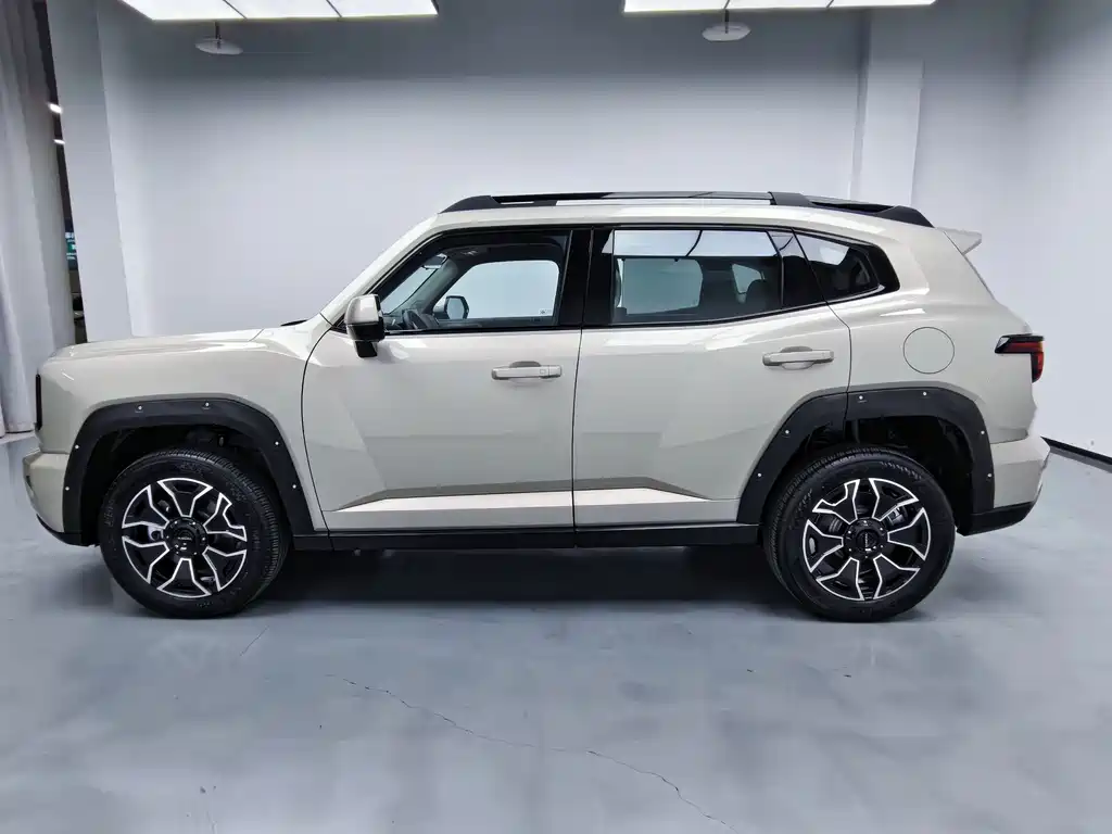 Haval Big Dog PLUS New Energy — миниатюра 11