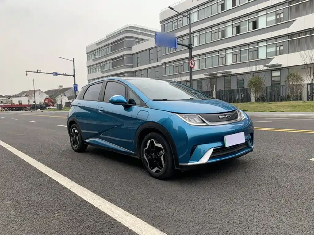 BYD Dolphin — миниатюра 25