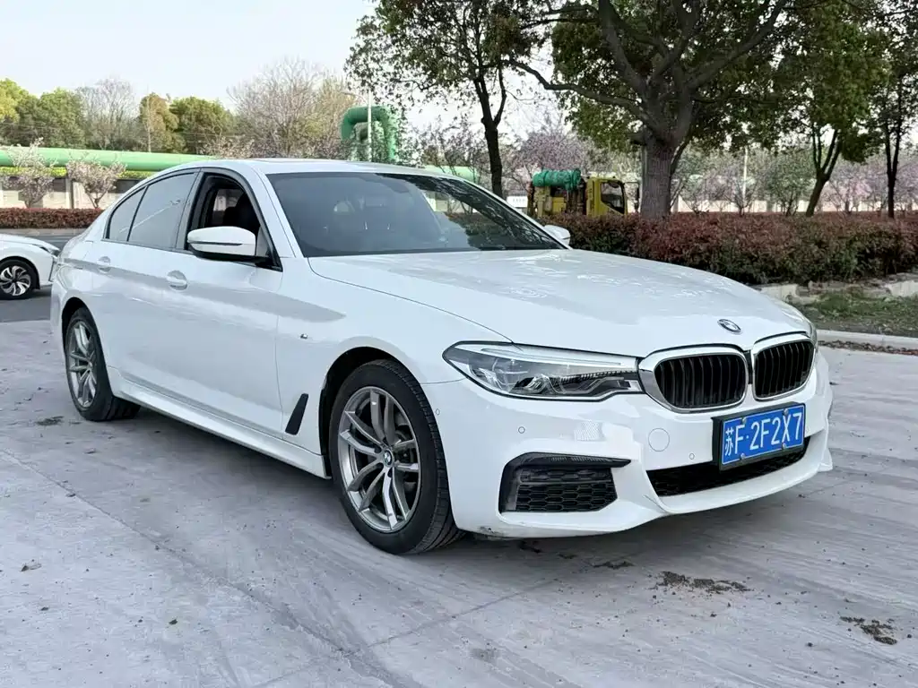 BMW 5 Series (Import) 2020