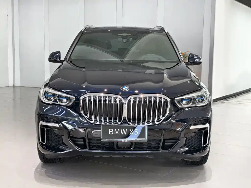 BMW X5 — миниатюра 2