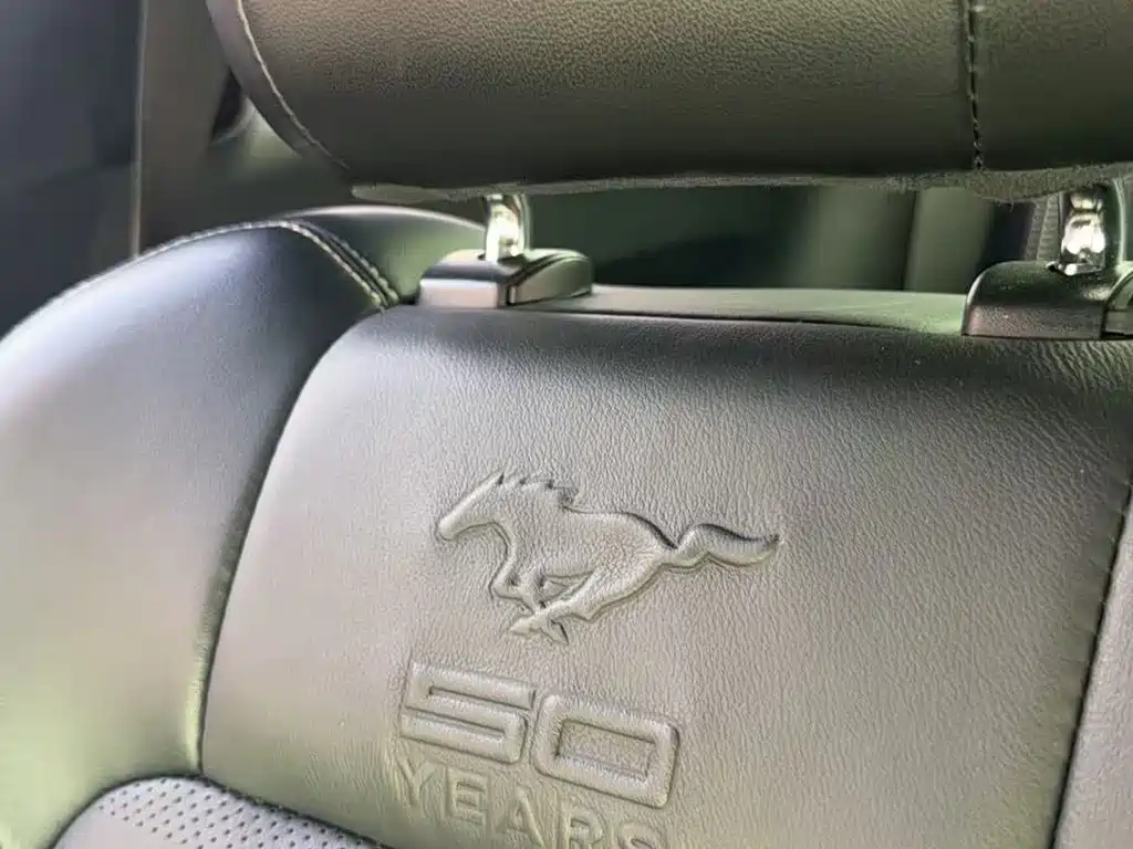 Ford Mustang — миниатюра 9