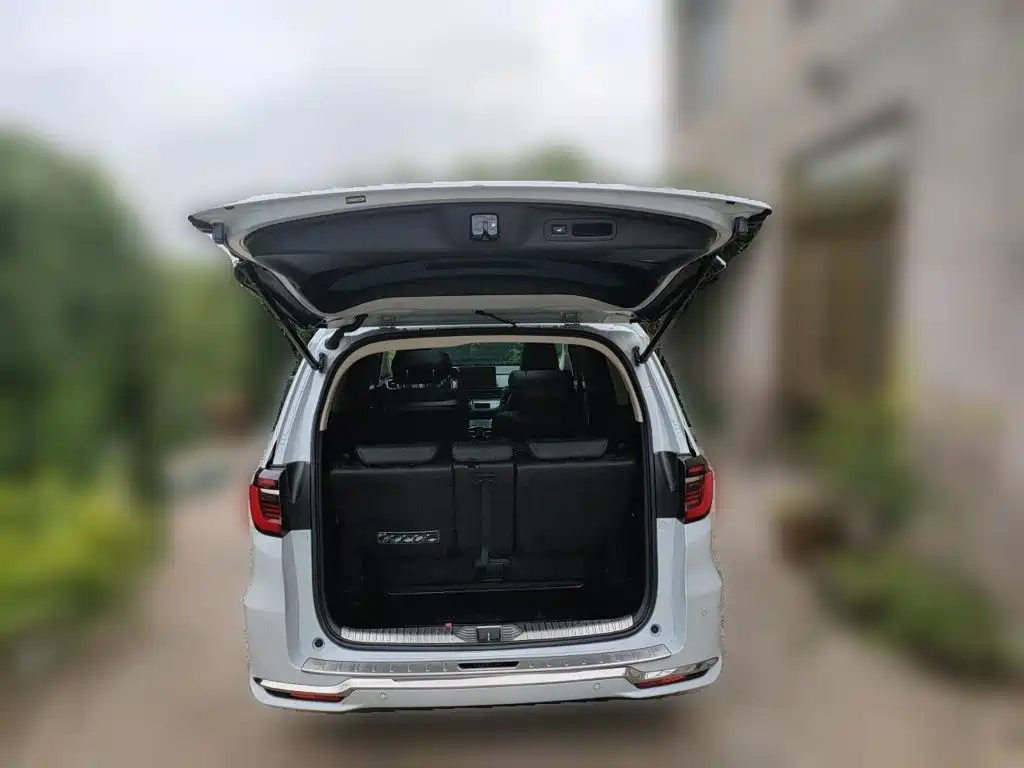 Honda Elysion — миниатюра 10