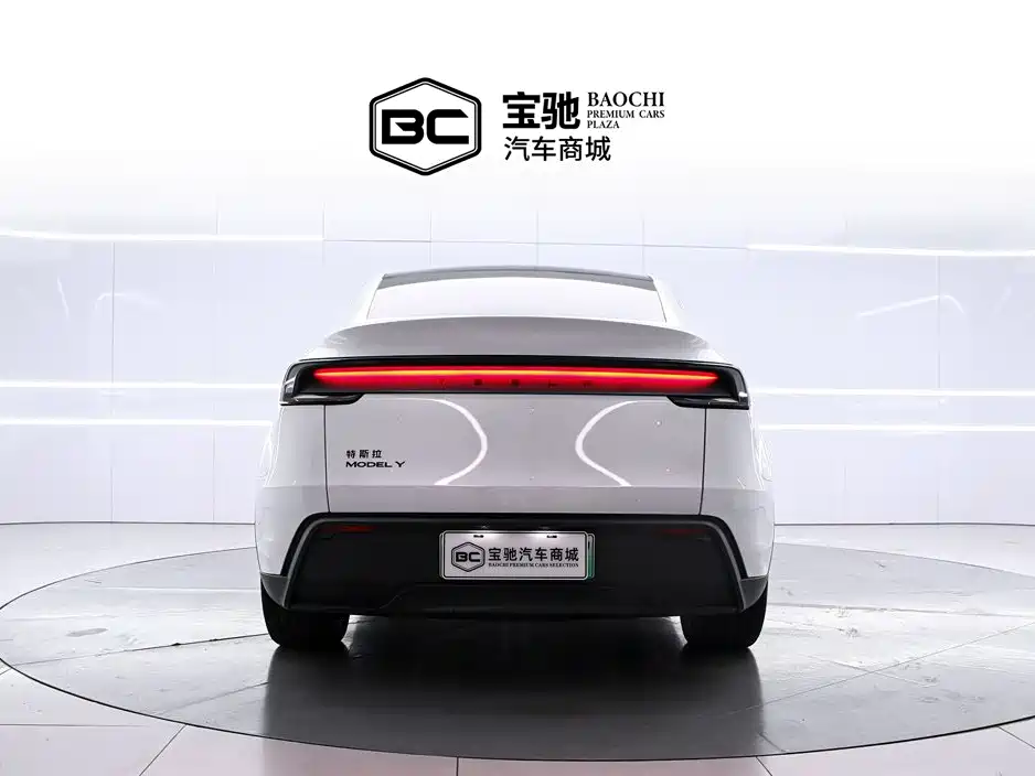 Tesla Model Y — миниатюра 4