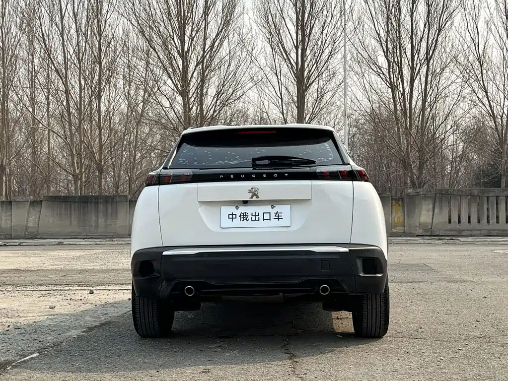 Peugeot 2008 — миниатюра 5
