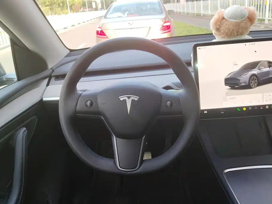Tesla Model Y — миниатюра 15