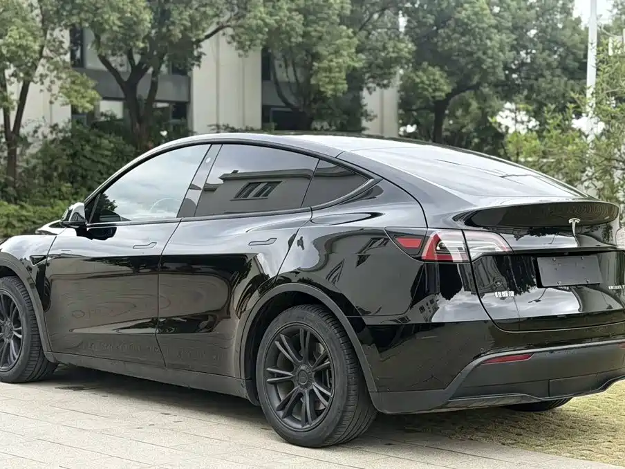 Tesla Model Y — миниатюра 7