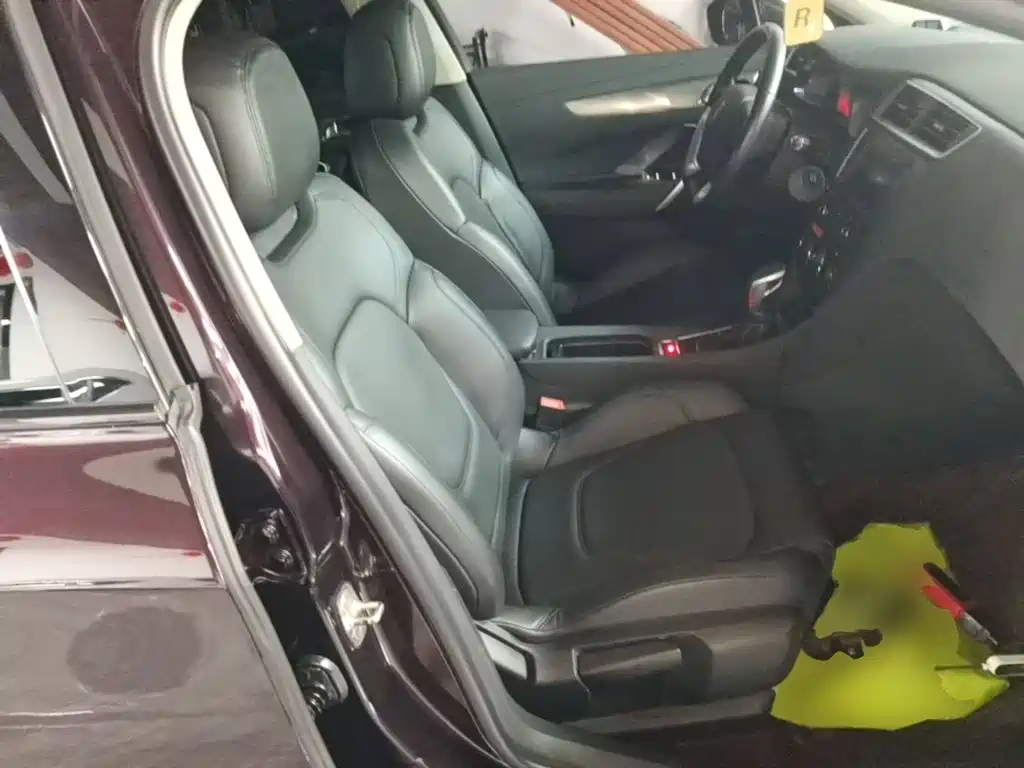 DS DS 5LS — миниатюра 25