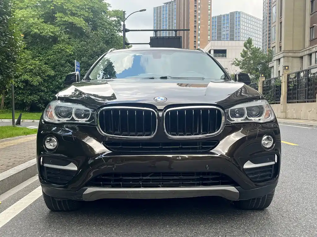 BMW X6 — миниатюра 2