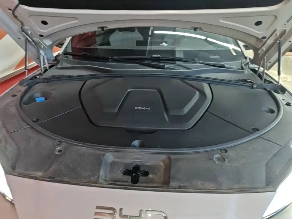 BYD PLUS New Energy — миниатюра 20