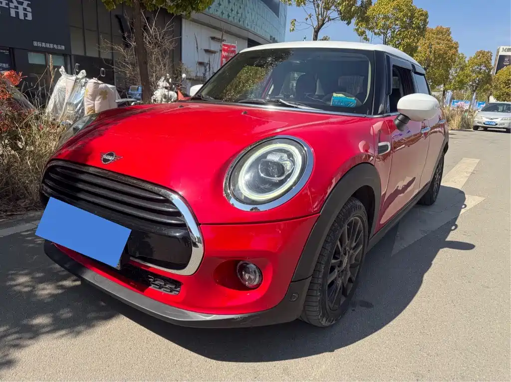 Mini Mini 2020