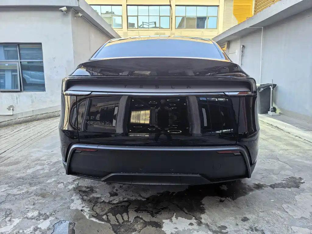 Tesla Model Y — миниатюра 5