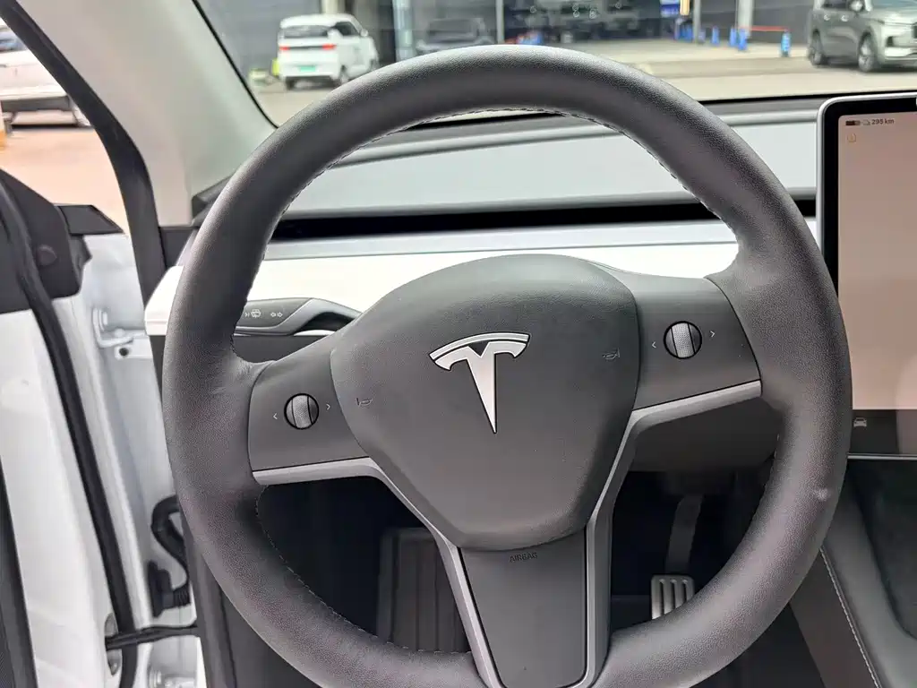 Tesla Model Y — миниатюра 11