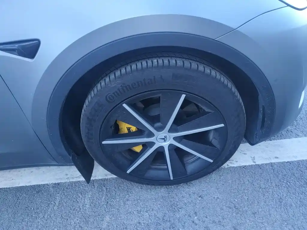 Tesla Model Y — миниатюра 8