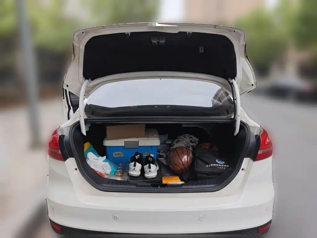 Ford Focus — миниатюра 20