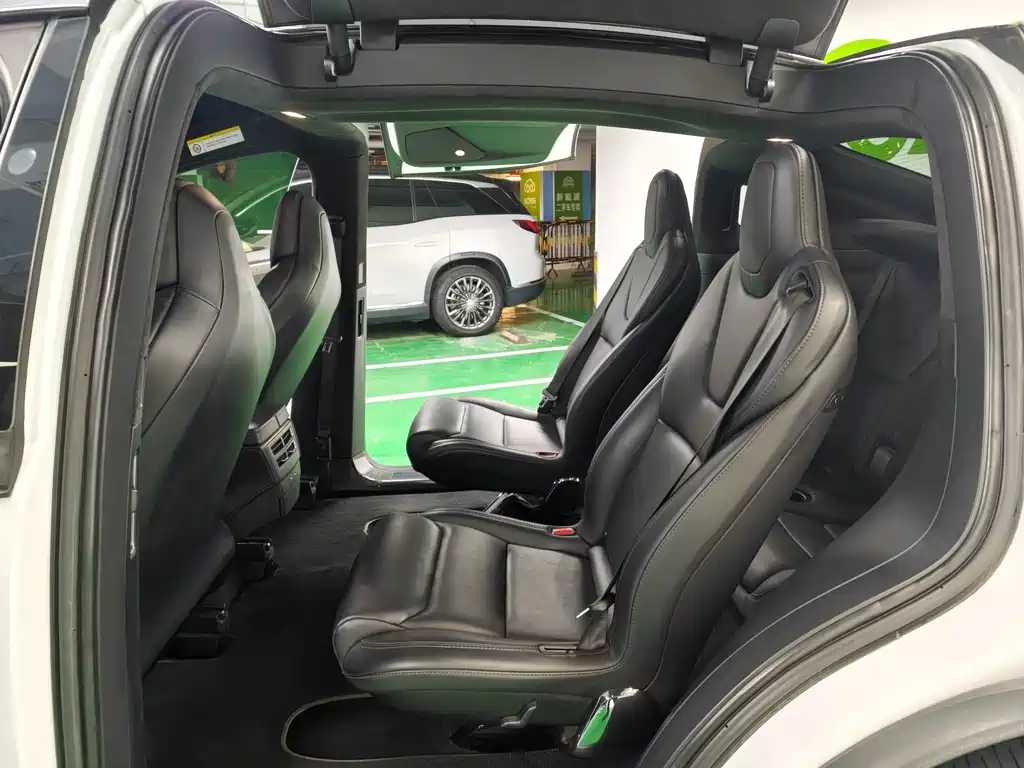 Tesla Model X — миниатюра 10