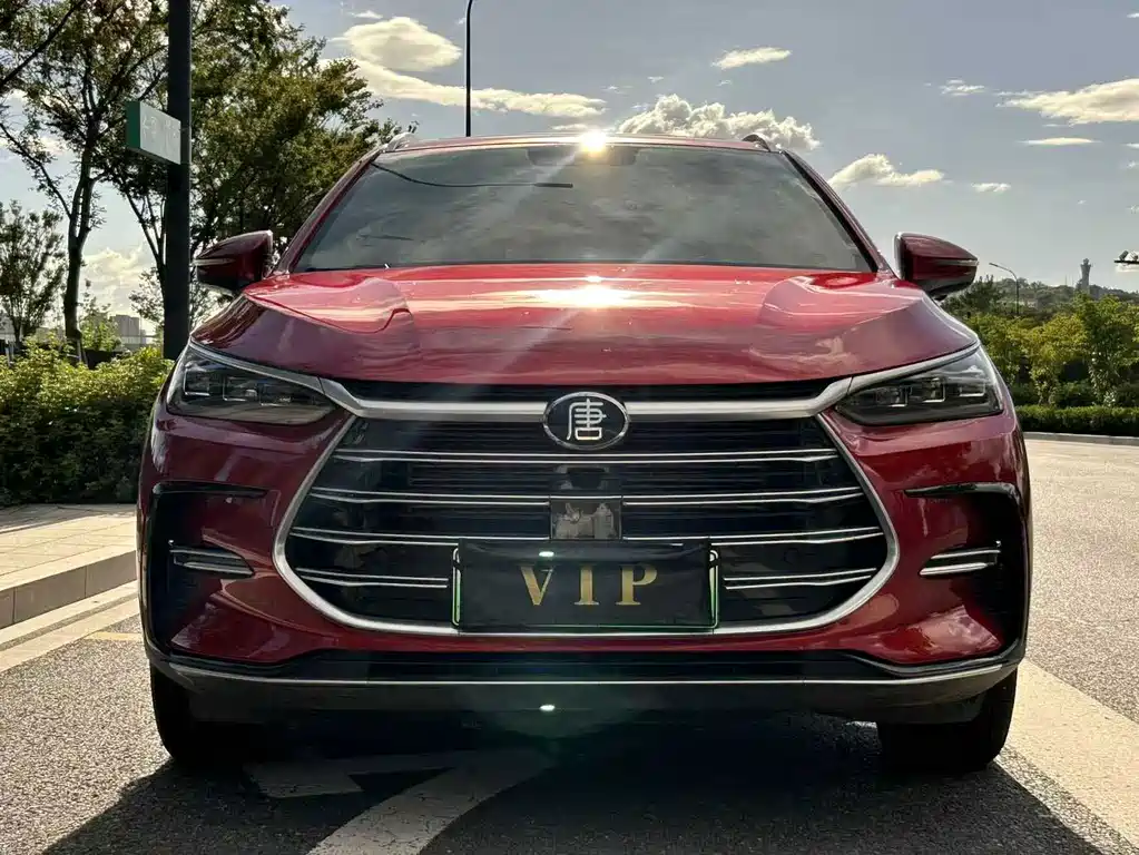 BYD Tang New Energy — миниатюра 2