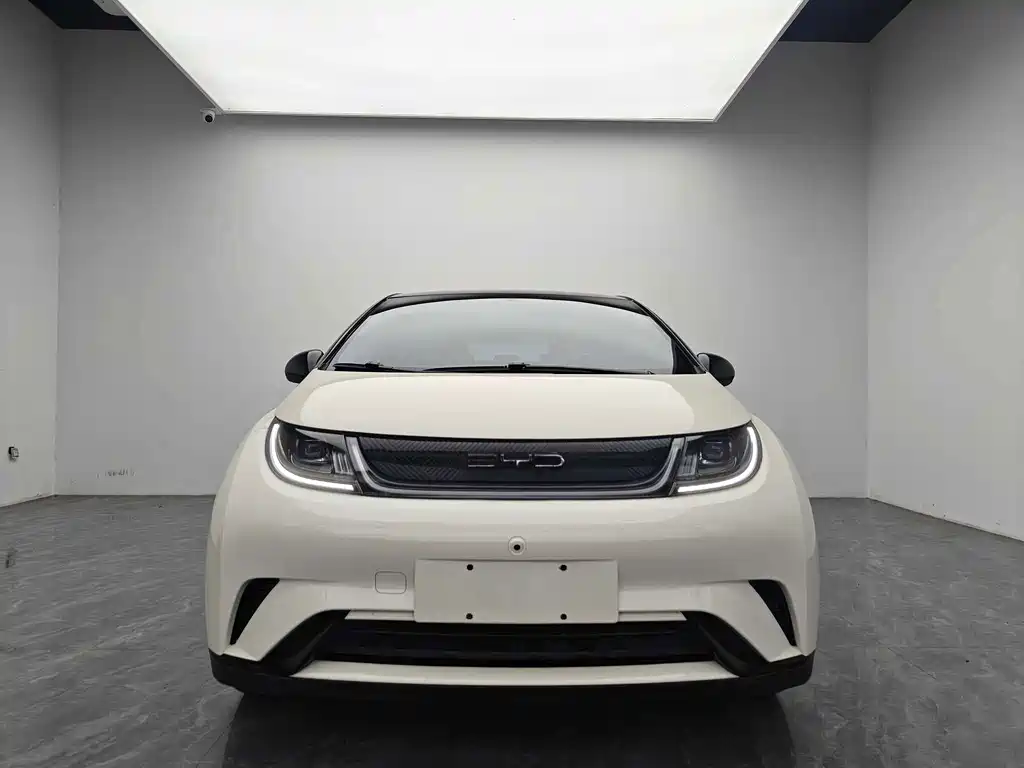 BYD Dolphin — миниатюра 2