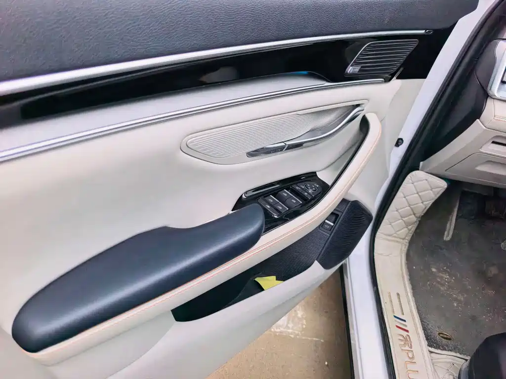 BYD PLUS New Energy — миниатюра 5