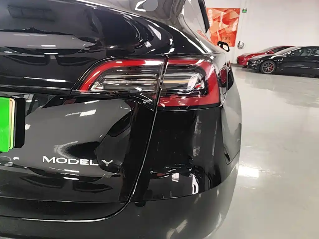 Tesla Model Y — миниатюра 8