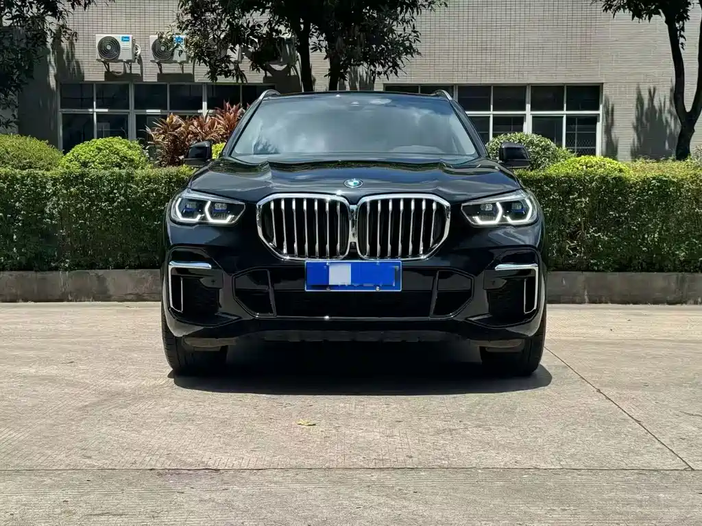 BMW X5 — миниатюра 2