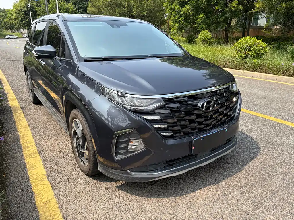 Hyundai Custo — миниатюра 16