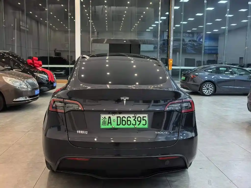 Tesla Model Y — миниатюра 5
