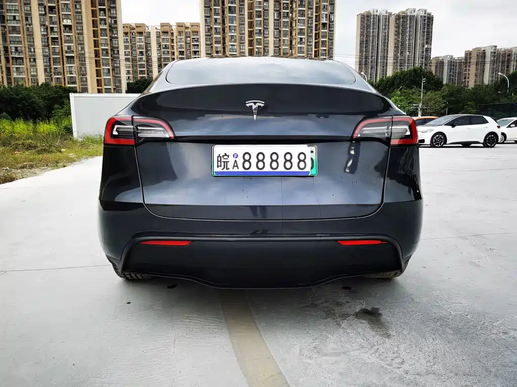 Tesla Model Y — миниатюра 18