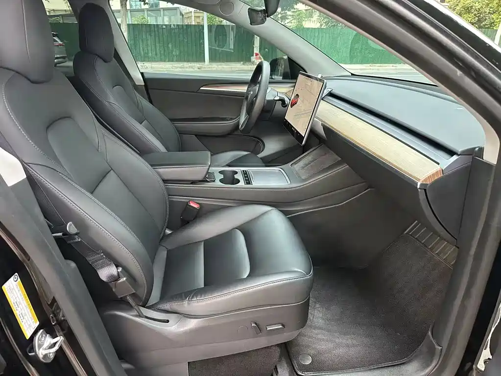 Tesla Model Y — миниатюра 9