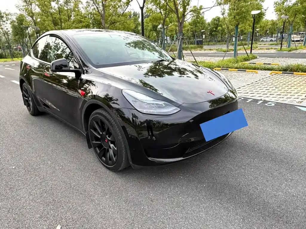 Tesla Model Y — миниатюра 3