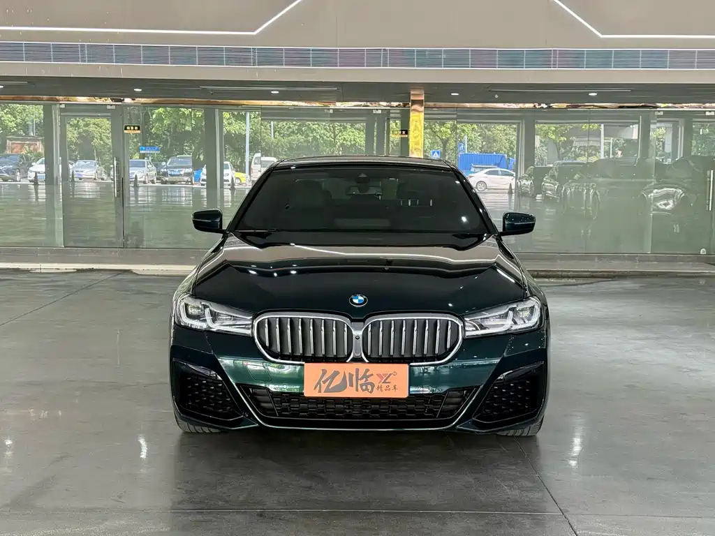 BMW 5 Series (Import) — миниатюра 2