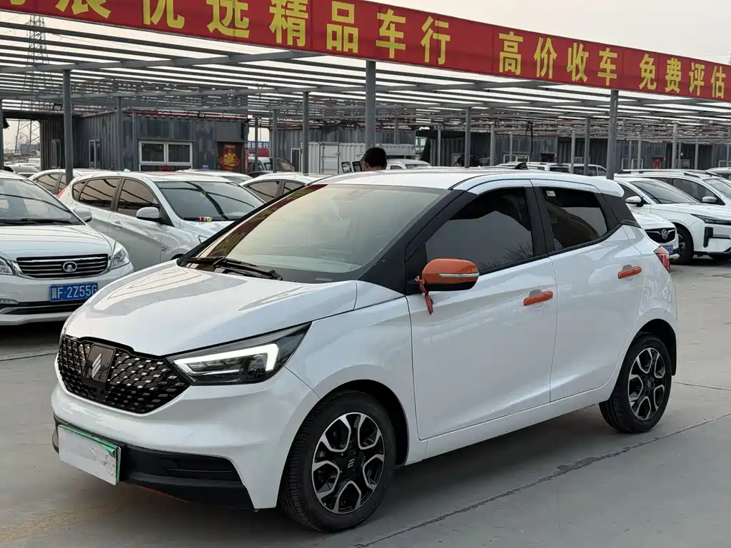 Jmev EV3 2024