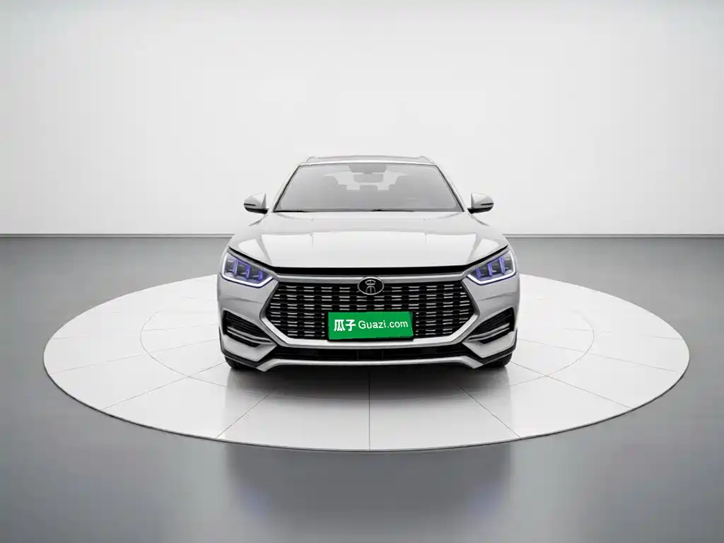 BYD PLUS — миниатюра 2