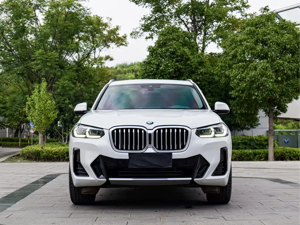 BMW X3 — миниатюра 2
