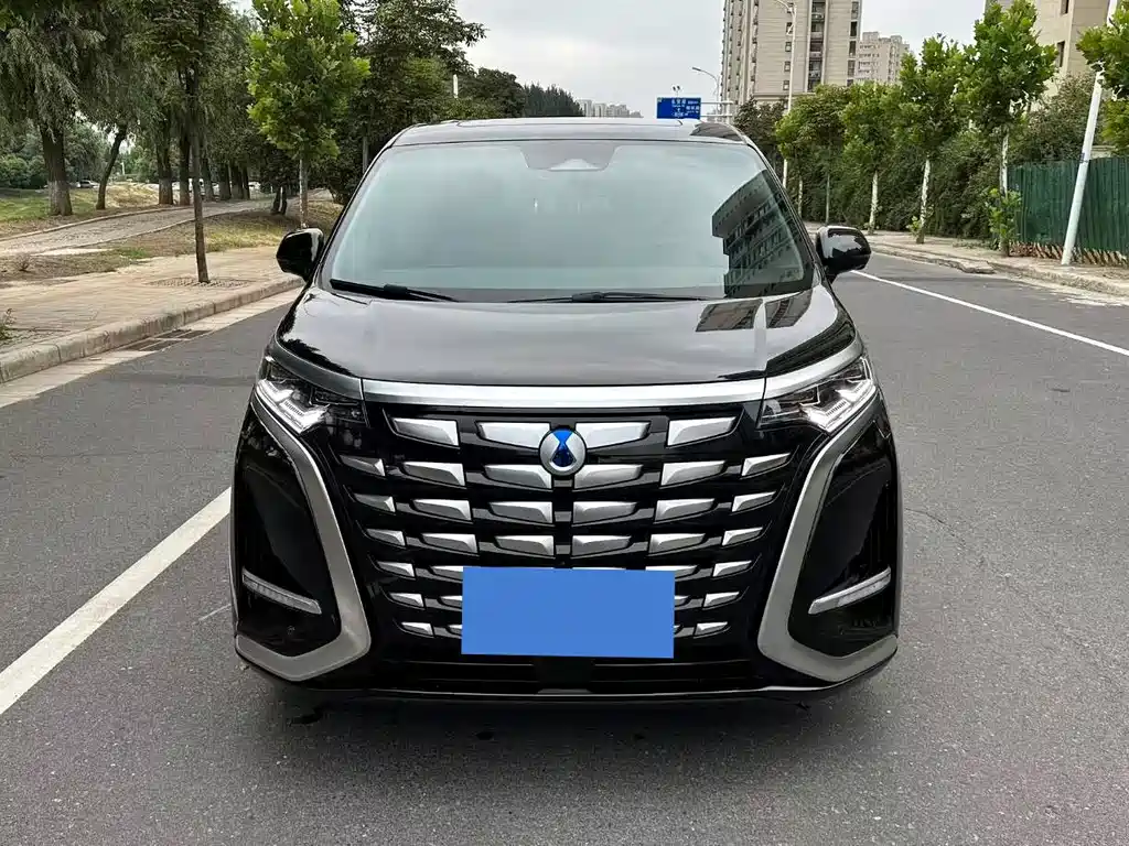 Denza Denza D9 — миниатюра 2